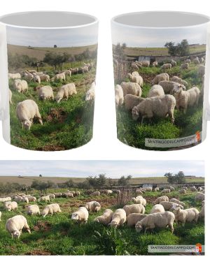 Taza Ovejas Santiago Del Campo