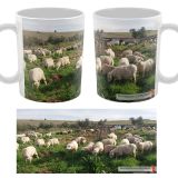 Taza Ovejas Santiago Del Campo